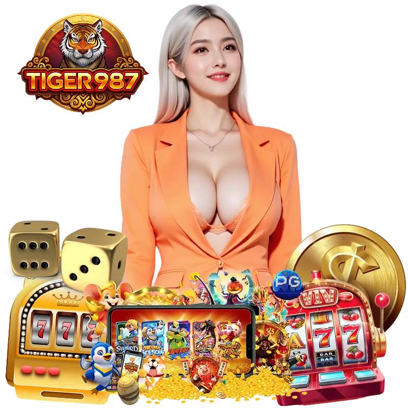 TIGER987 ทางเข้า